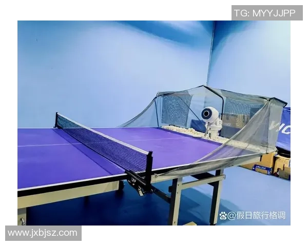 杨伟独家分享乒乓球技巧与心得助你提升球技的秘密方法